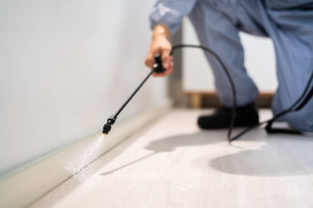 Professional exterminator conducting IPM assessment in McSwain